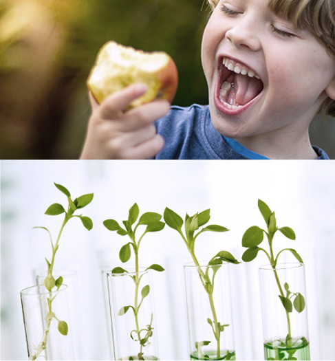 Niño comiendo una manzana